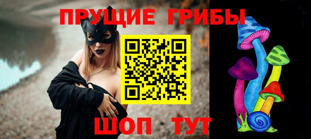 Псилоцибиновые грибы GOLDEN TEACHER Полысаево